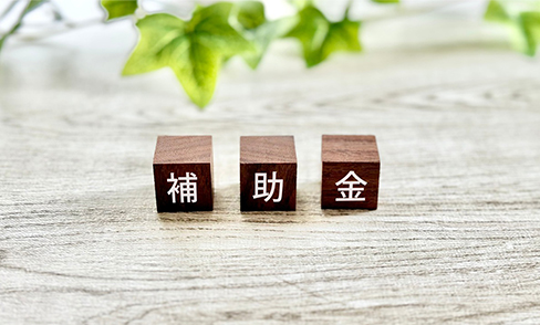 2026年CEV補助金